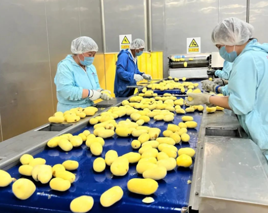 福滿興食品廠正式投產(chǎn)，助力食品行業(yè)新發(fā)展